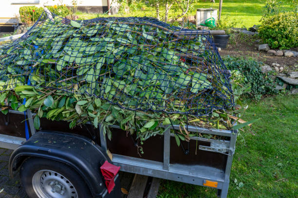 Best Recycling Services for Junk  in Rolla, ND